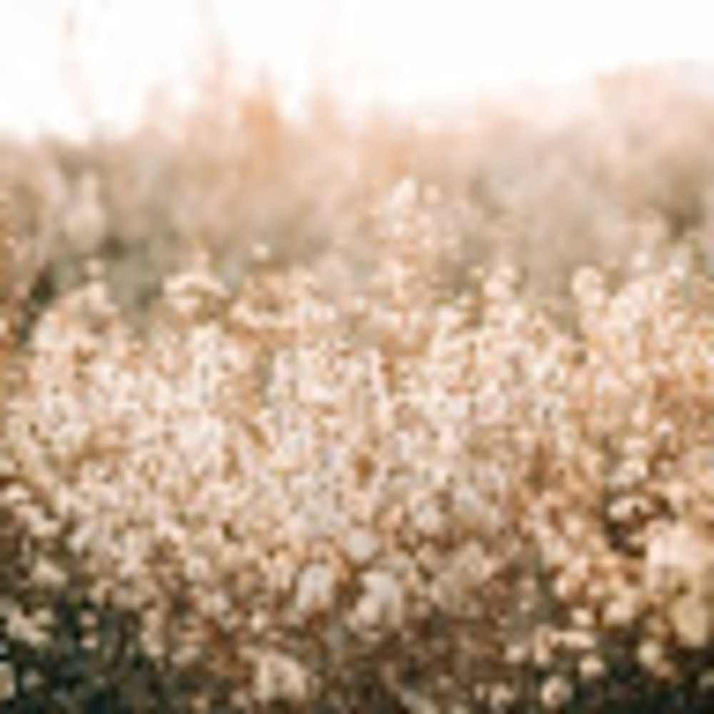 Meet your Posher, Meredith